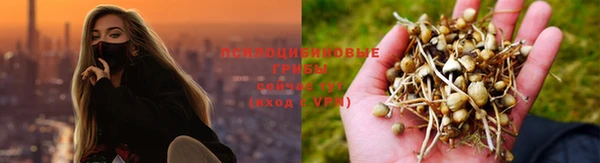 спайс Балабаново