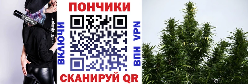 МАРИХУАНА ГИДРОПОН  гидра tor  Яблоновский 